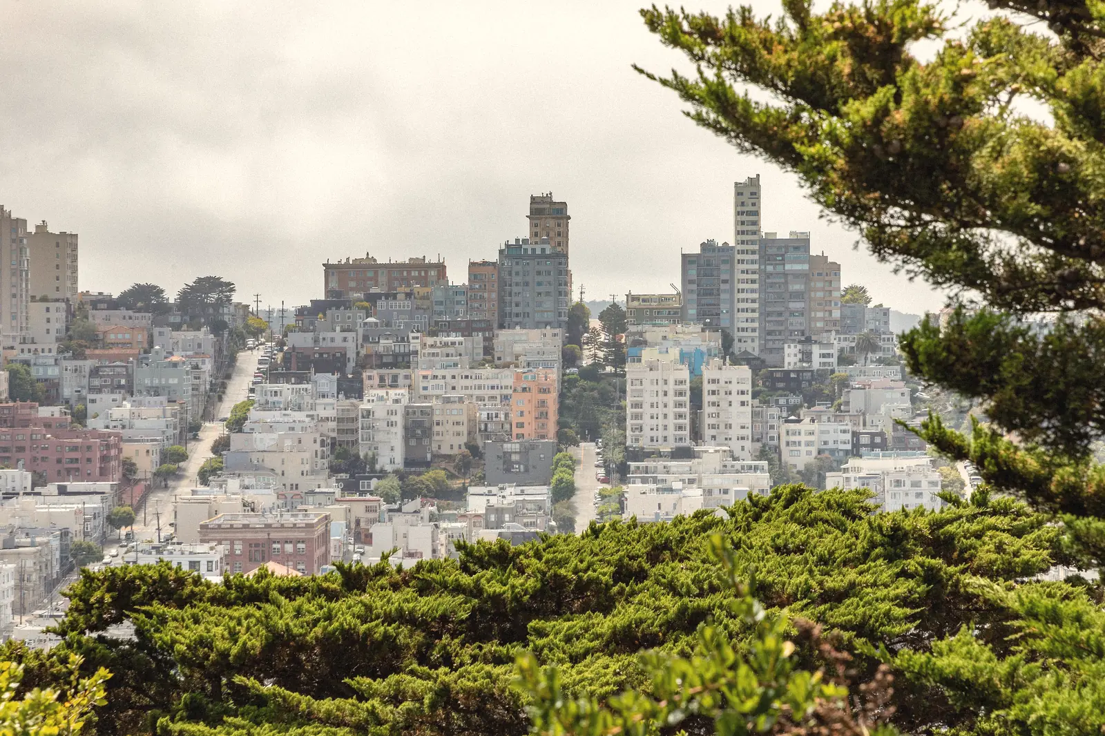 Photo of Russian Hill apartment buildings framed by cypress branches